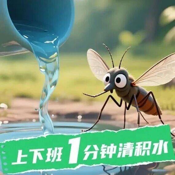 “毒蚊”在哪里?怎样找“毒蚊”?快收好这份攻略→_积水_白纹_容器