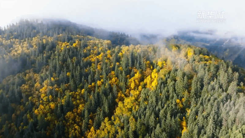 走进群加国家森林公园 共赏秋日美景