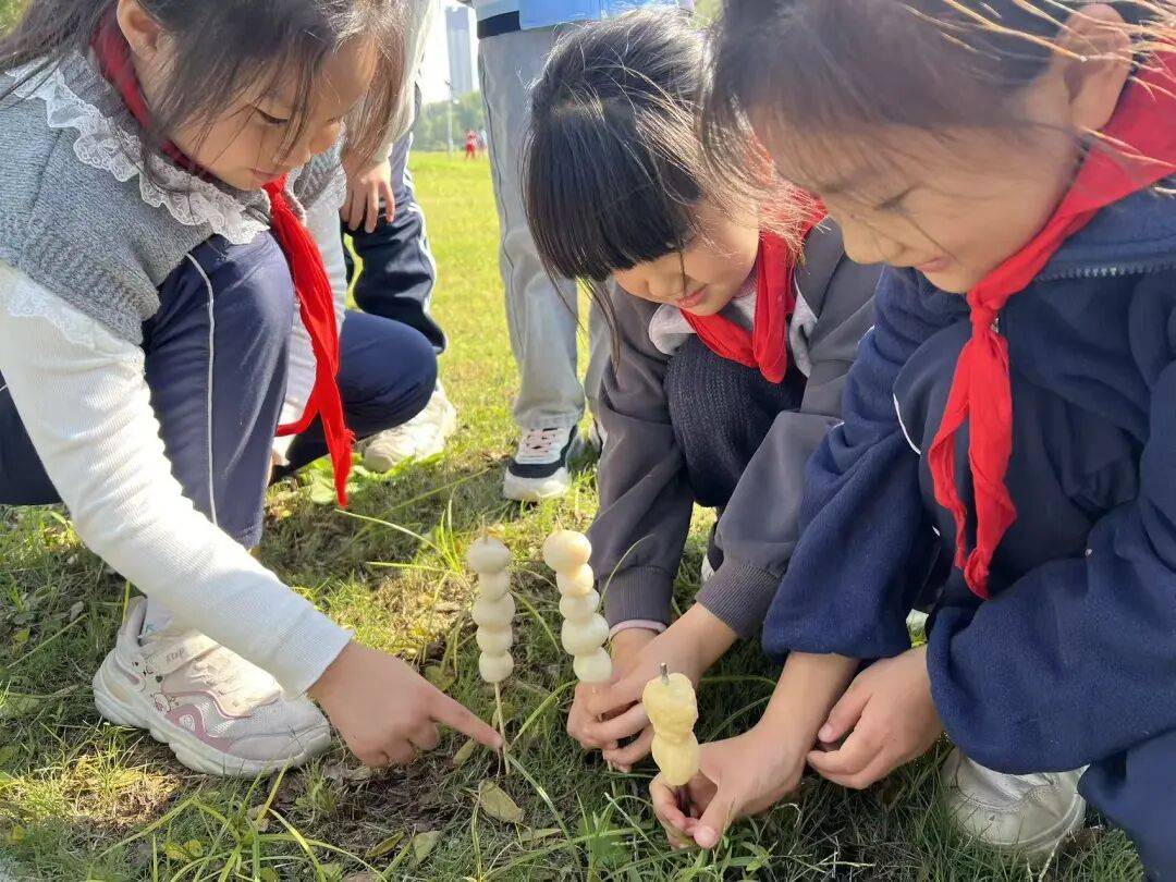 枫林小学:秋日趣游 童心拾光
