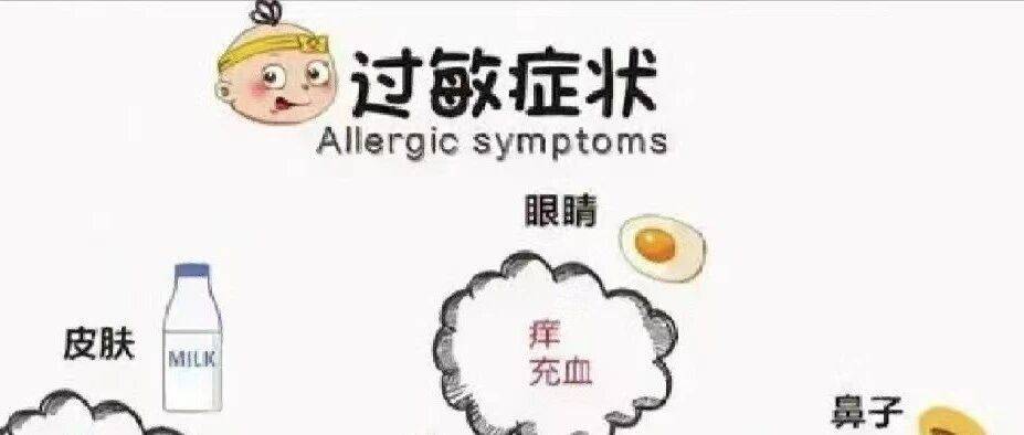 【健康科普】什么是过敏?——搞懂免疫系统的“过度反应”_过敏原_症状_物质