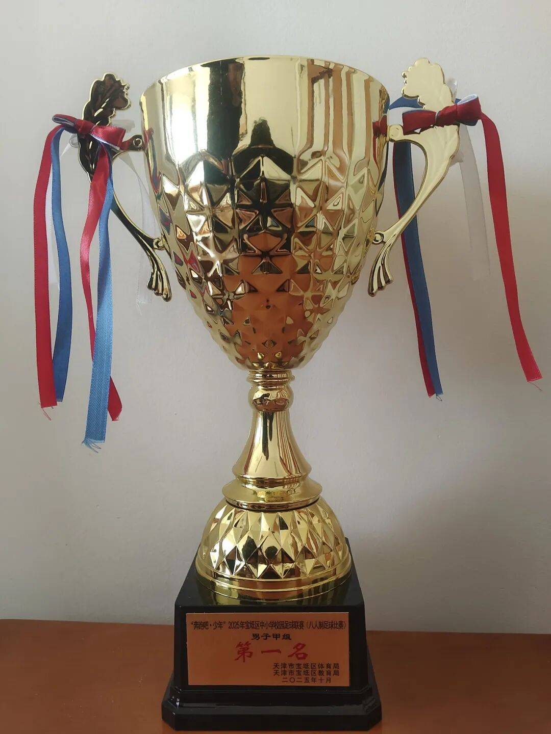 足球直播- NBA直播- 世界杯专业赛事超清Live我校男子足球队在“奔跑吧·少年”2025年宝坻区中小学校园联赛中获得冠军