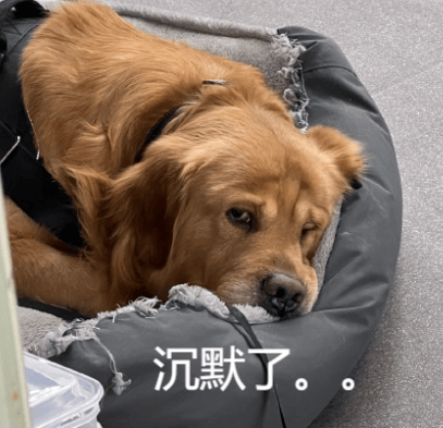 为了吸引你买手机，厂商们已经开始在参数页上动起手脚了