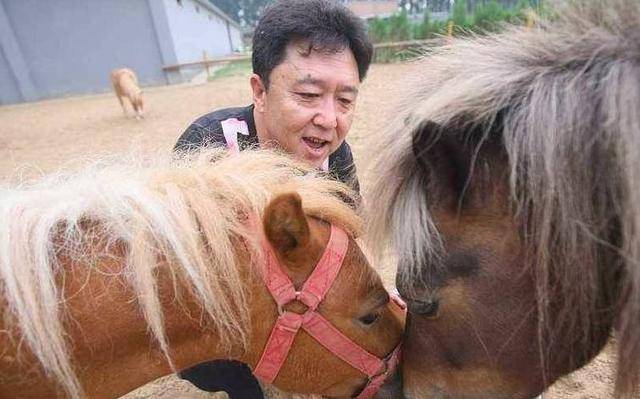 成“老赖”不到48小时,于谦被扒底朝天,杨议的爆料只是冰山一角