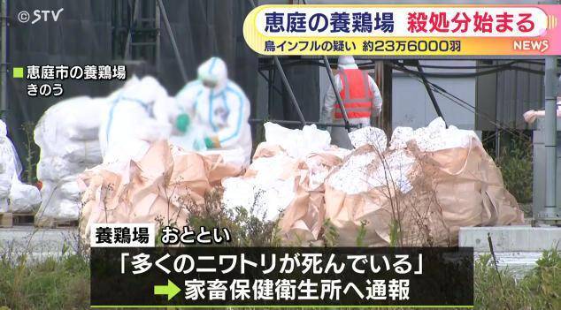 日本再暴发禽流感疫情 超23万只鸡被扑杀-华闻时空