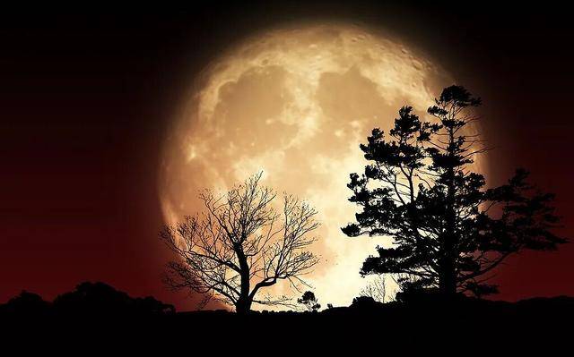 “超级月亮”来袭!今年最大“满月”有啥预兆?