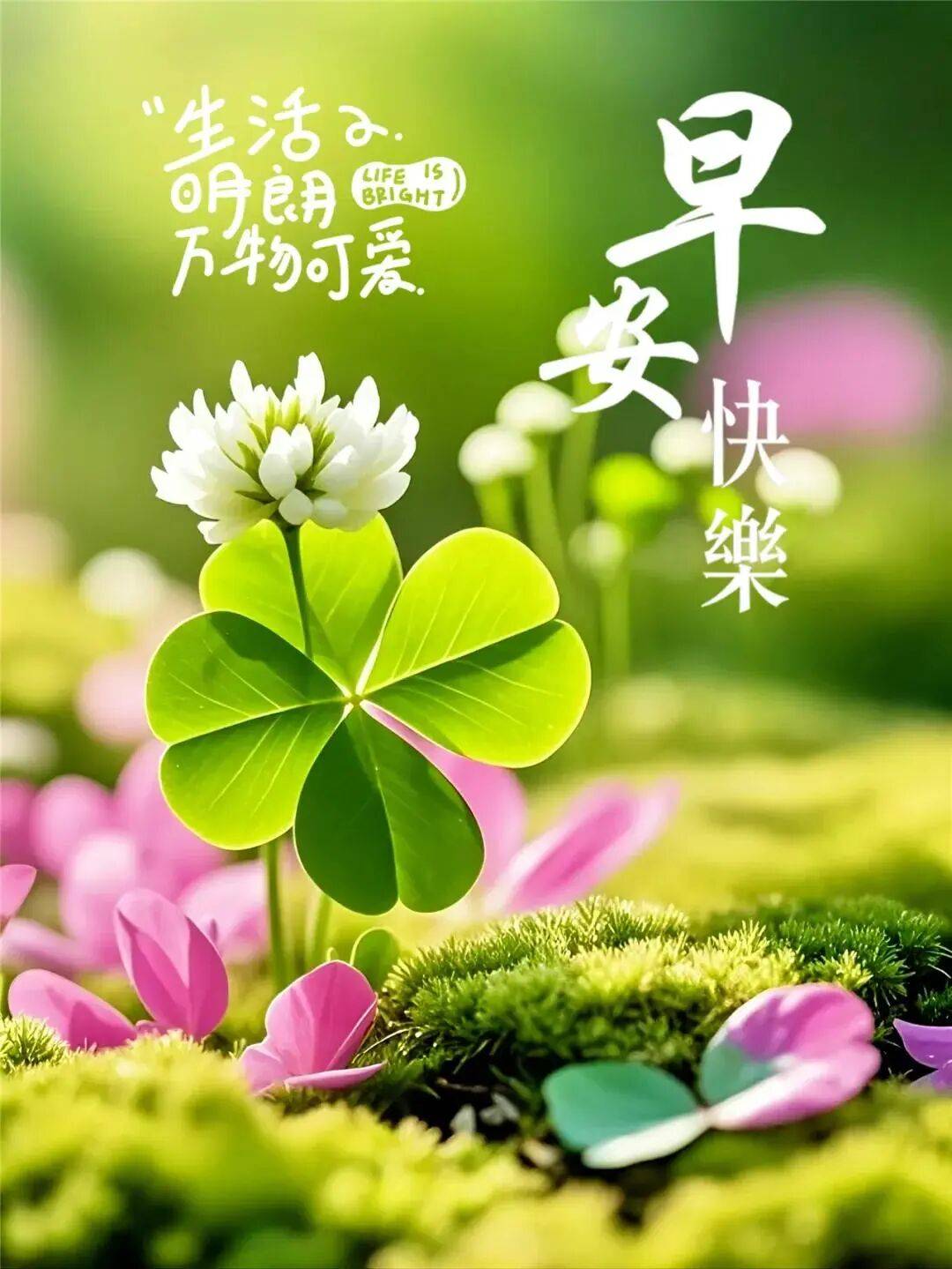 19张今日最新漂亮的早上好图片祝福,愿您与阳光同行,与健康拥抱,,与