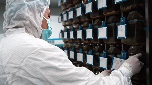 “太空小鼠”出征记