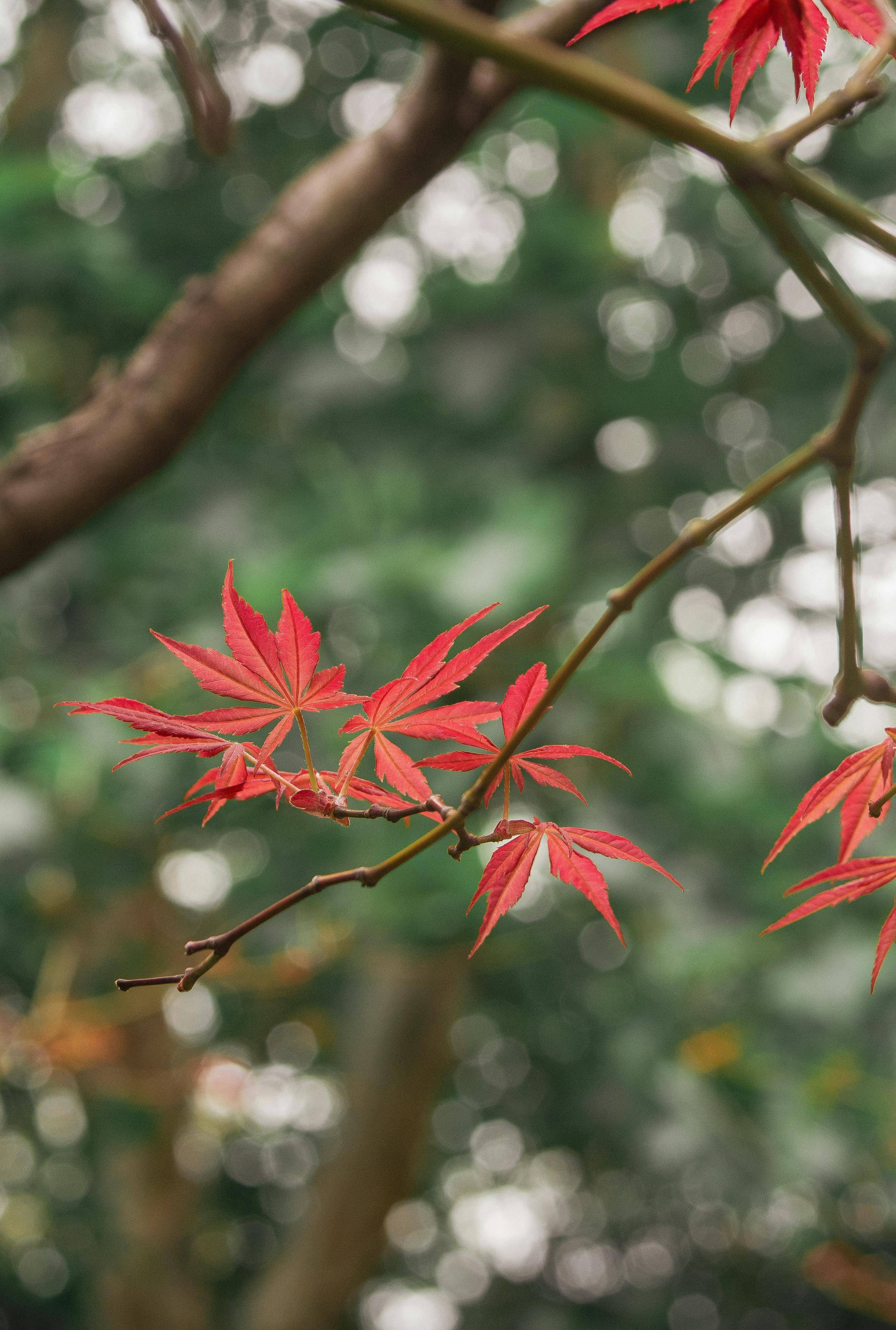 繁花》剧组严正声明：真相背后的故事与人性考量_搜狐网