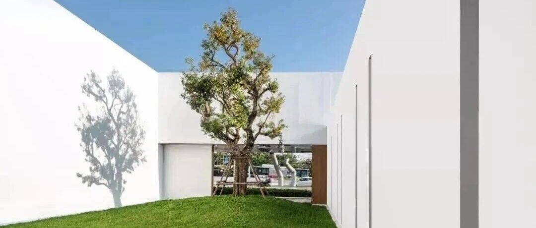 院子里一棵树,不多不少刚刚好,妙哉!_景观_空间_庭院