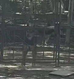 北大医药董事长徐晰人被抓前，警方去集团厂区调查过！内部人士：集团资产被其处置，巨额资金去向不明