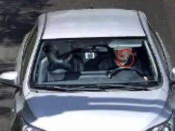 开车时嘴里叼牙线棒被处罚 宜兴交管部门：原认定确有不当，已依法撤销