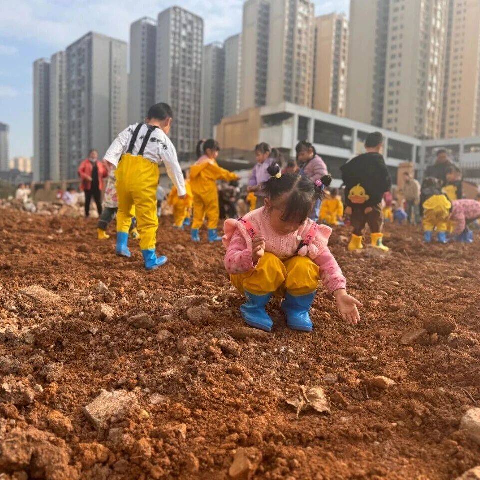 惠水一幼开展“城市泥地自然探索”活动_幼儿园_石块_土壤