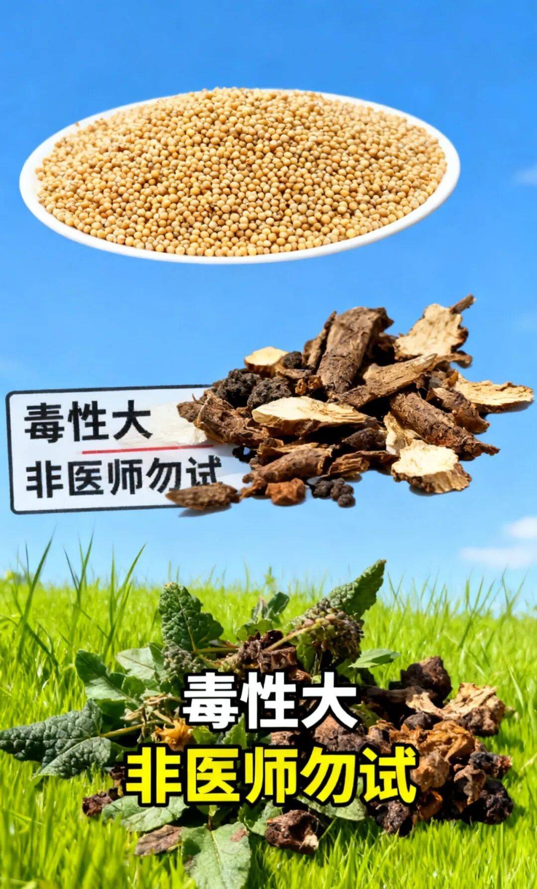 散结草的别名