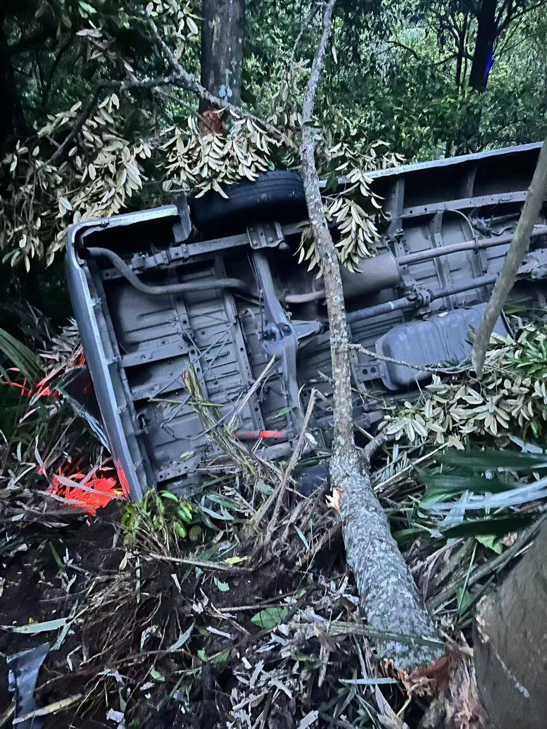 图片[2]-中国公民5死8伤！巴厘岛凌晨车祸亲历者发声-华闻时空