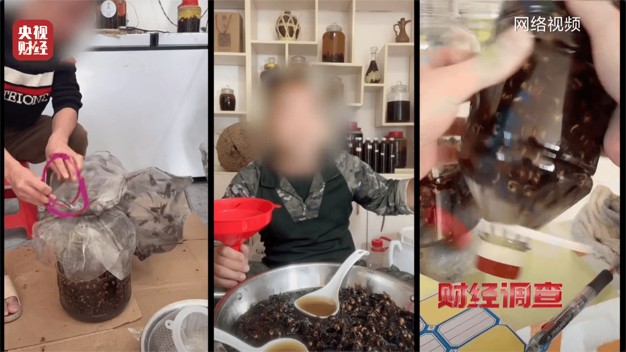 “杀人蜂”散养山头,无序滥养亟待监管,总台《财经调查》曝光→ “杀人蜂”散养山头,无序滥养亟待监管,总台《财经调查》曝光→