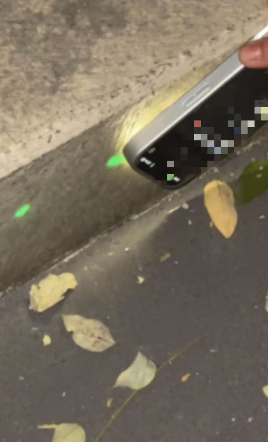 是翡翠？发财了？山西一高校石阶发出荧光绿，网友怀疑是黑科技，回应：在了解情况