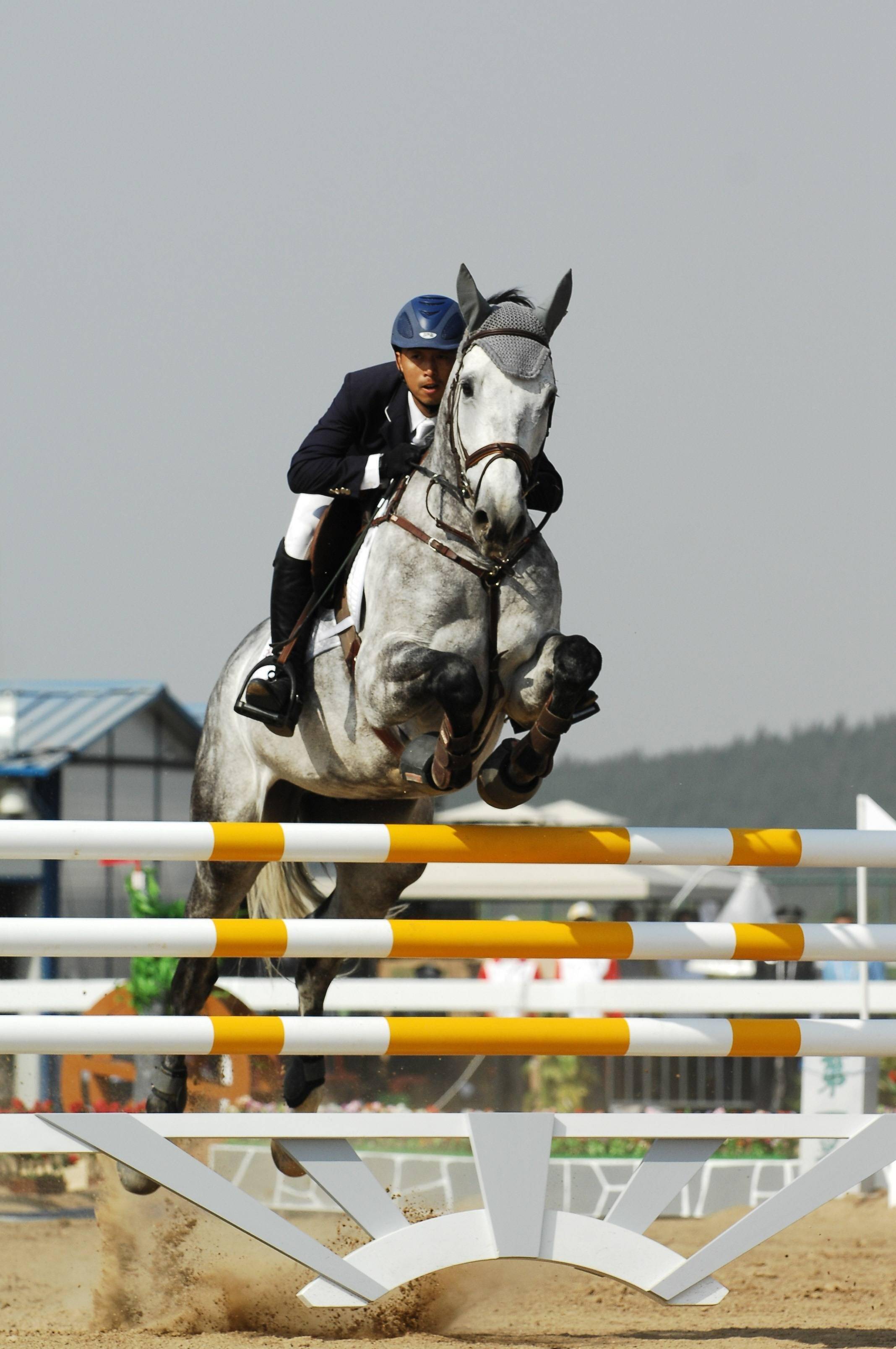 河北马术创造历史,获得全运会第4名