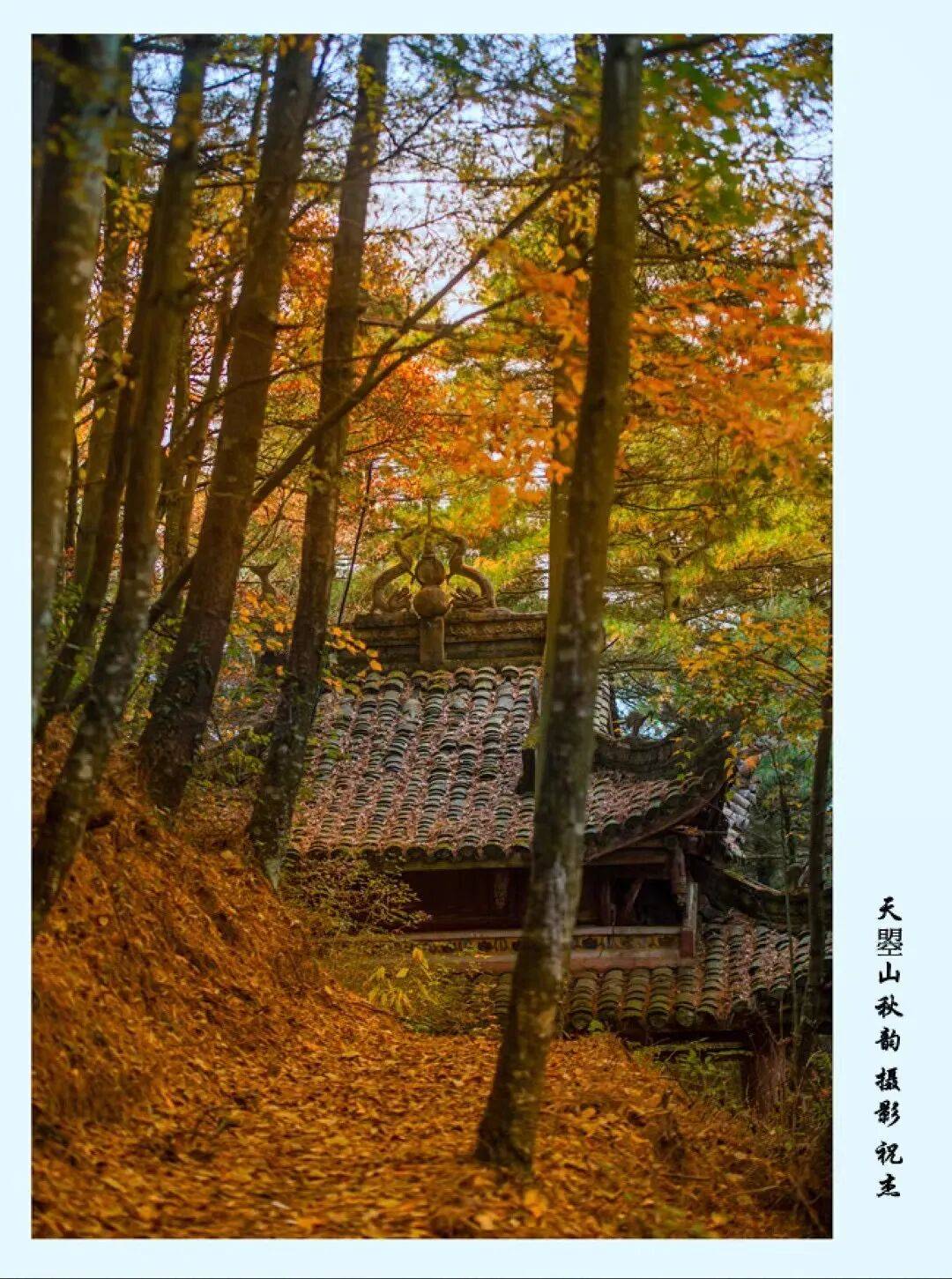 摄影许圣阳摄影王小龙天曌山秋意浓彩林如海洋