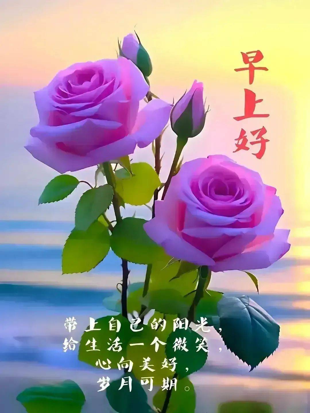 80张最新早上好表情图片大全,问候心情好,牵挂情谊好