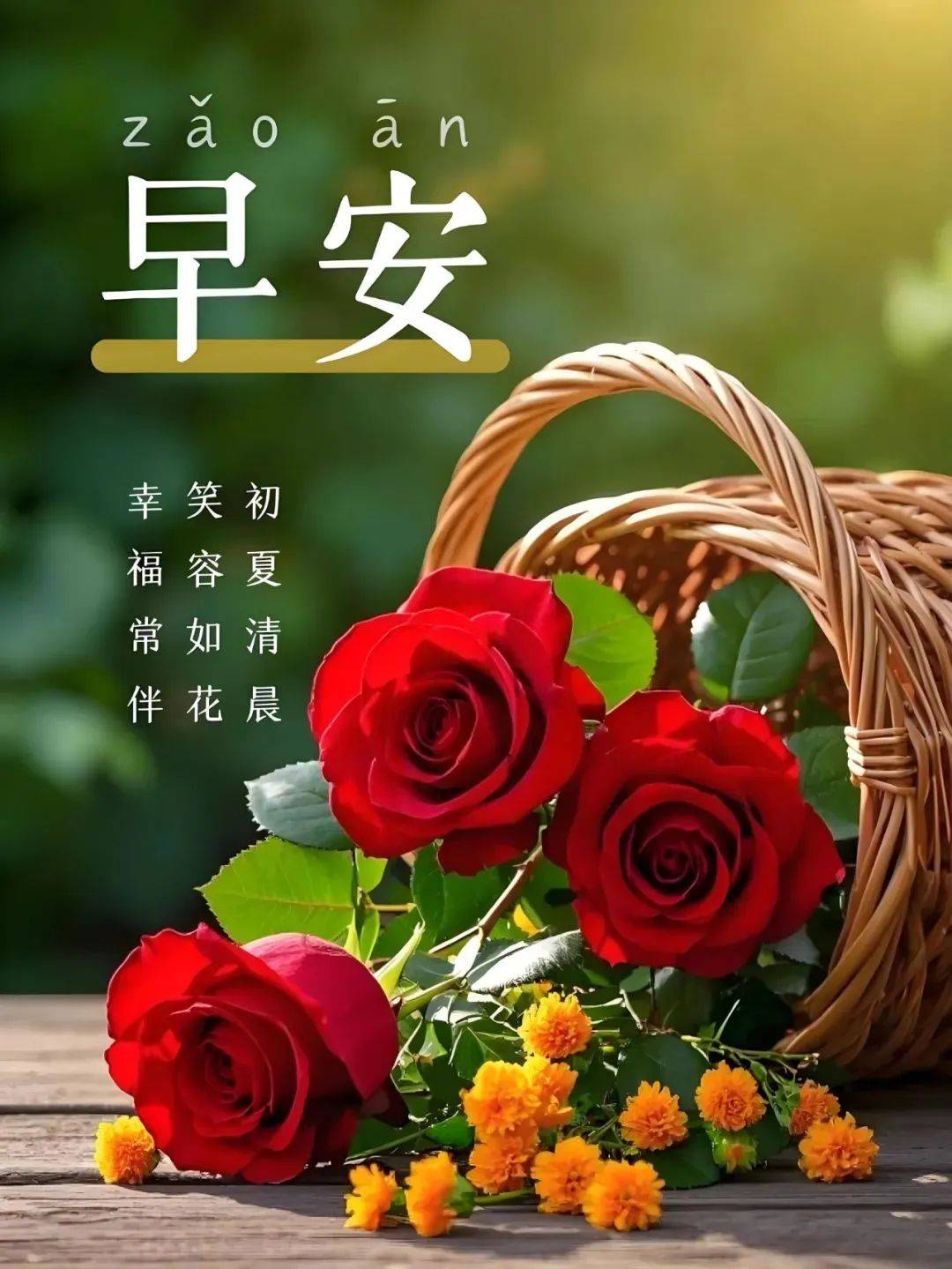 2025年11月25日早上好精选问候语祝福,早安精选图片,岁月无情人有情