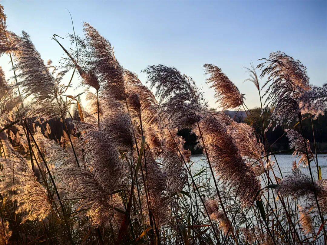 用电影的方式&ldquo;打开&rdquo;初冬！每一帧，都浪漫&mdash;&mdash;