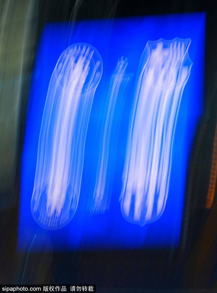 切尔西如何精准狙击巴萨防线:战术胜利的背后