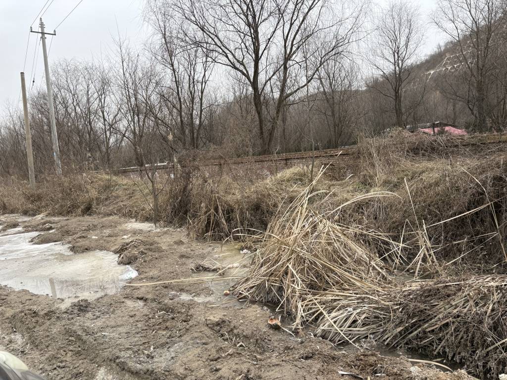 延安一动物园围墙倒塌遭水漫数月：笼舍泡水后结冰，狮熊等过冬遇困