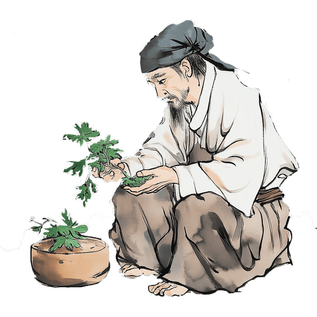 —中医药传统文化进校园"志愿服务项目之"中医药实景