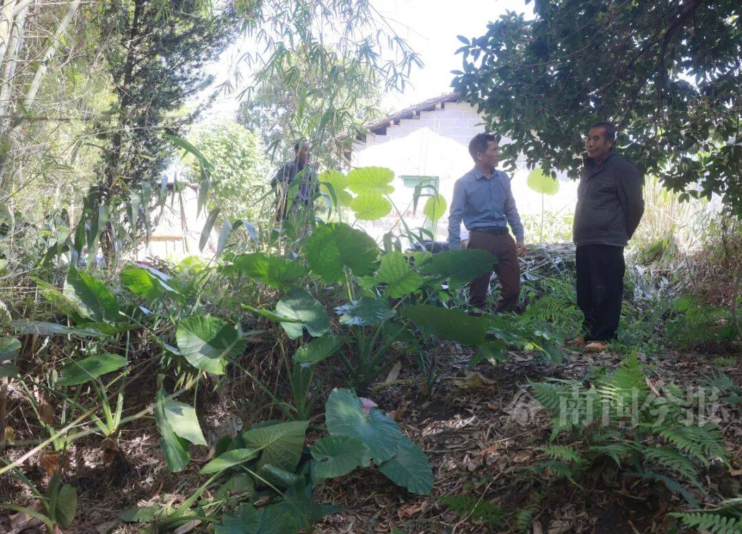 柳州钓鱼阿叔竹林挖蚯蚓，竟挖出千年前的“大宝贝”！