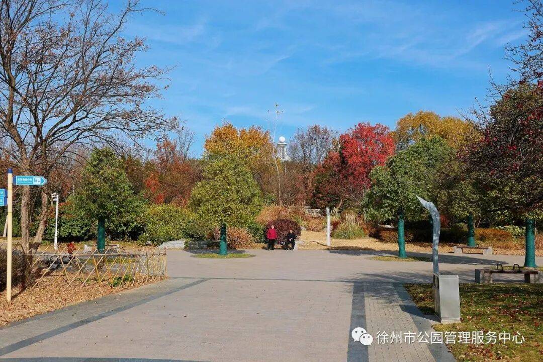 冬韵初显,来徐州市植物园打卡美景吧