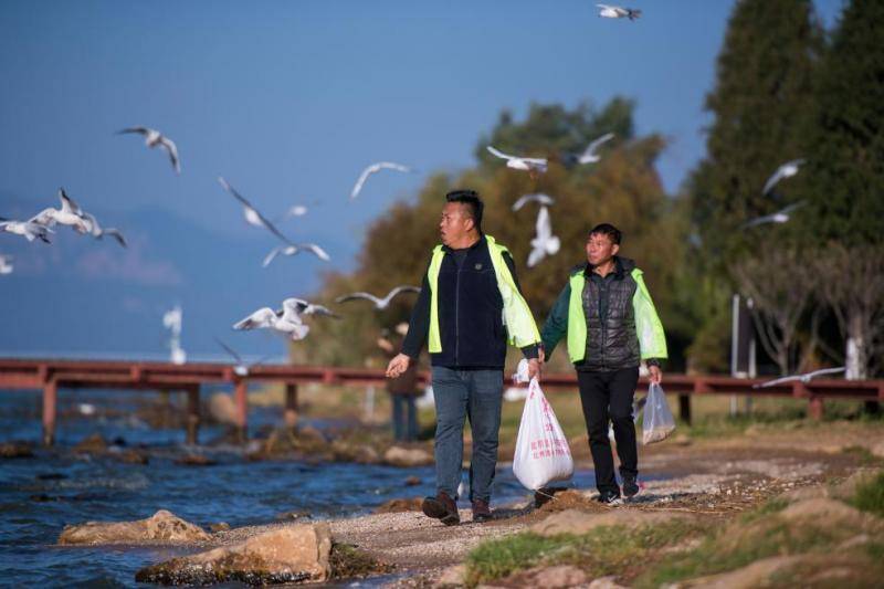 观鸟，不只是观鸟：云南绿水青山间的“新翅膀”