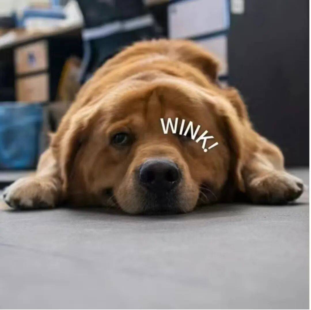 新国标要来了，你可能再也买不到9块9的充电宝了。