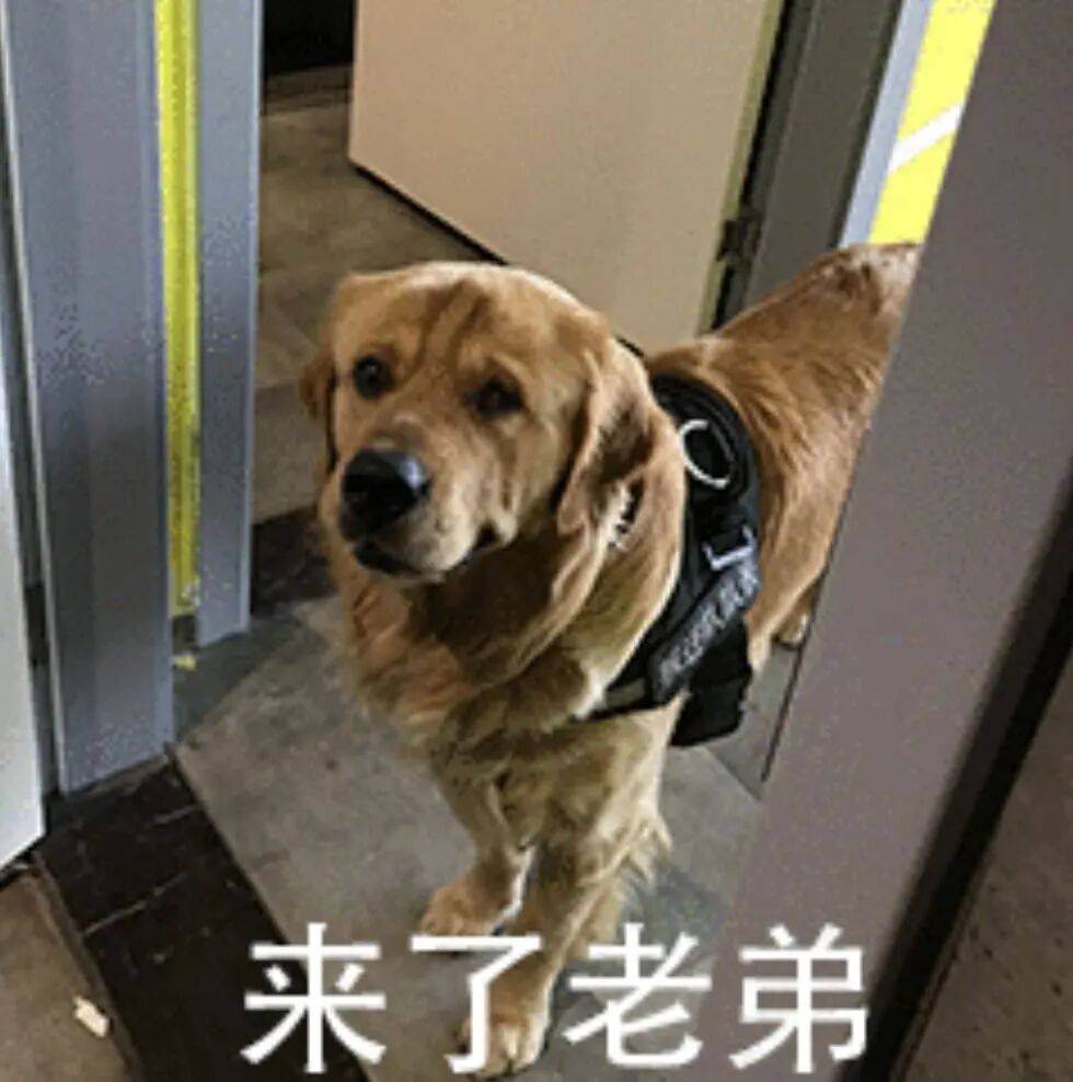 新国标要来了，你可能再也买不到9块9的充电宝了。