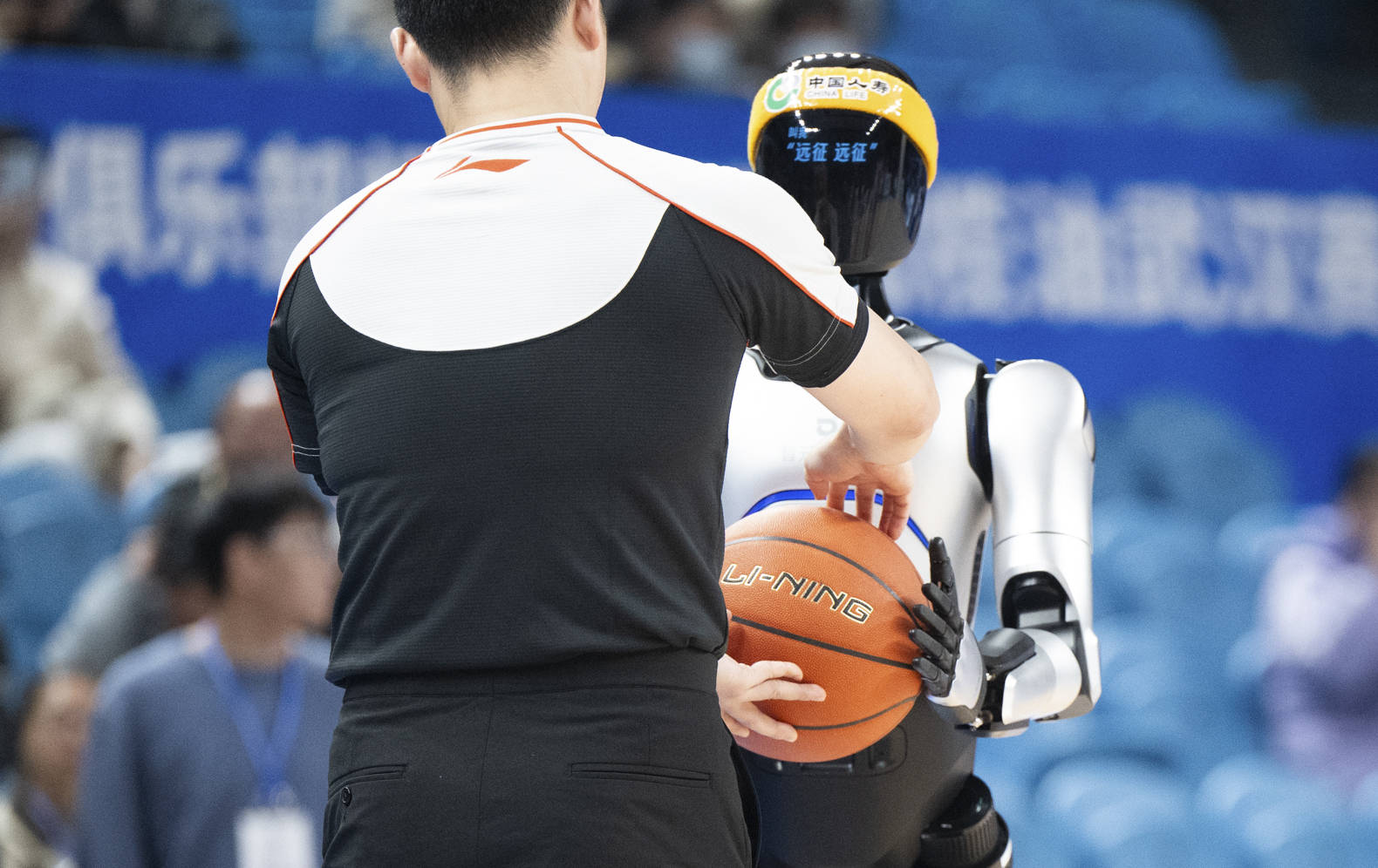 篮球视频下载应用