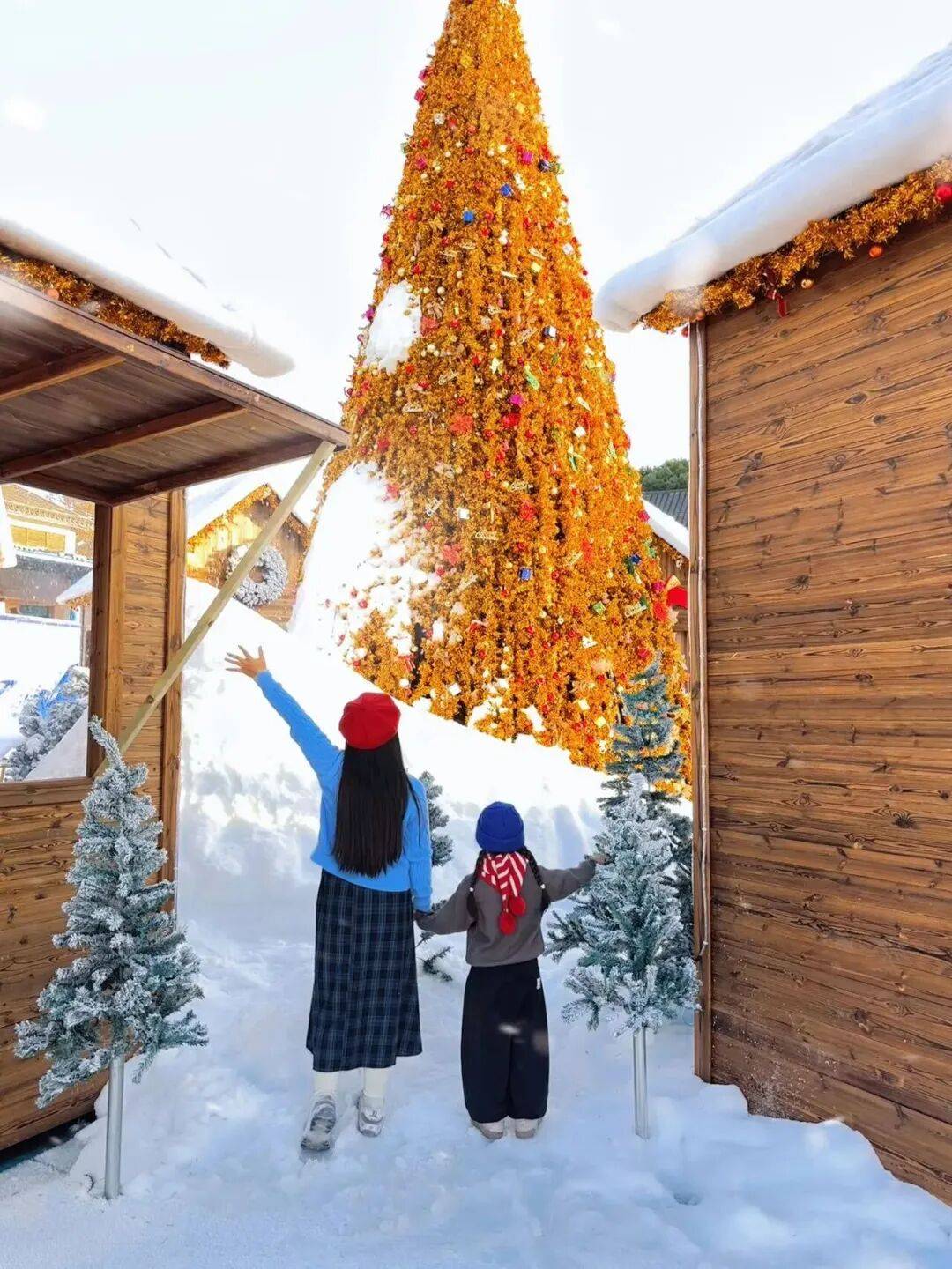来武进玩雪