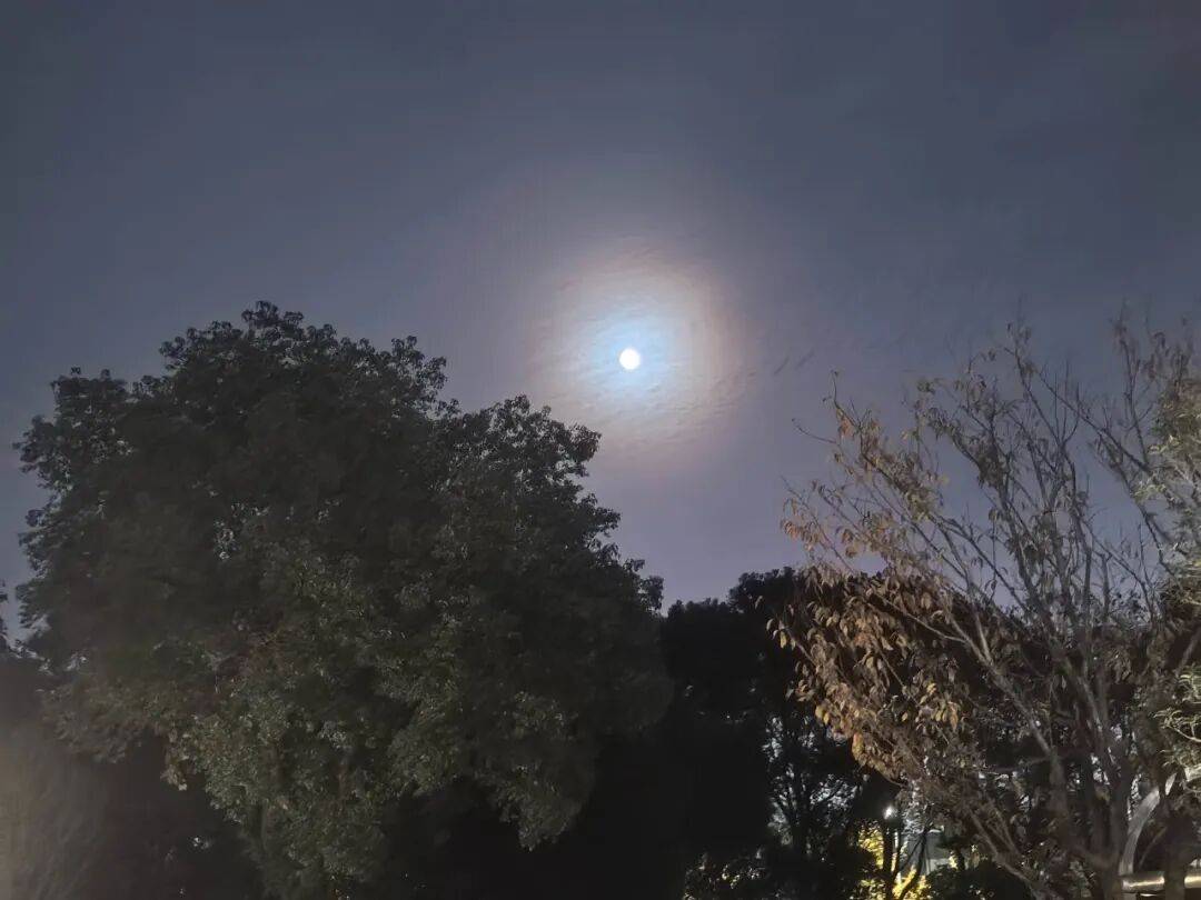 抬头看!夜空中的神秘光环?天气要变了吗?_月华_现象_月晕