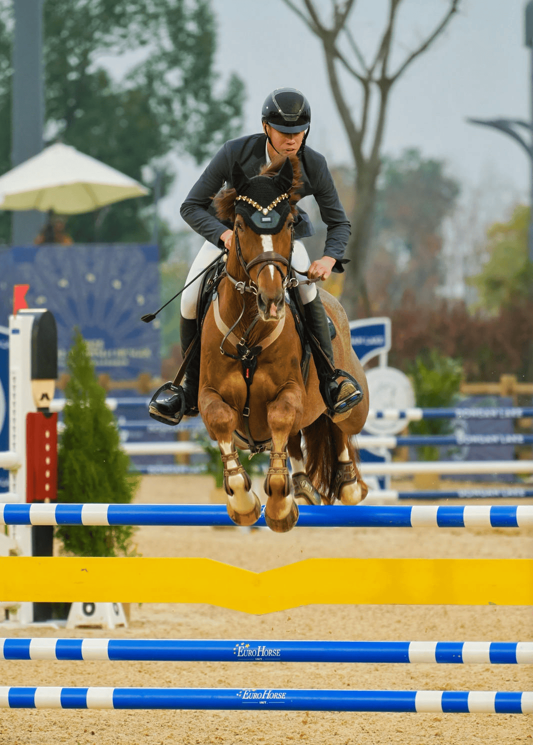 奥运骑手,世界前十云集!国际二星级马术赛在蓉开赛