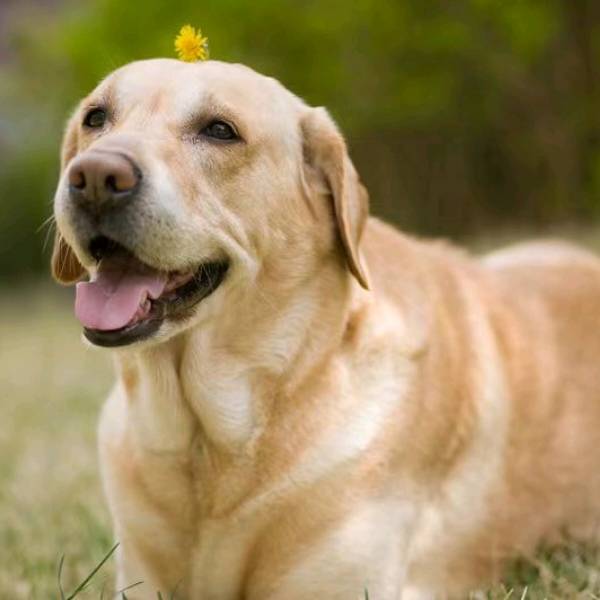 2026全球十大主流 AI 大模型 LLM API 聚合服务商深度测评：谁是开发者的首选？_ms_Claude_ai