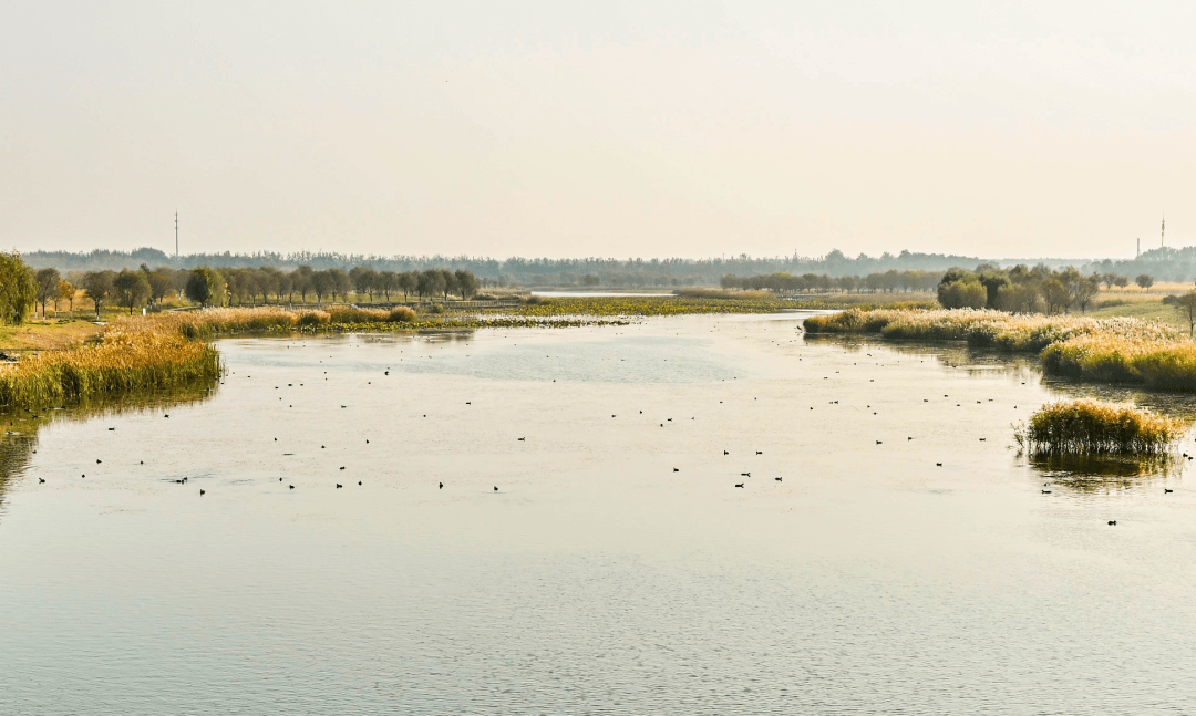副中心这处水景大公园已开放,遛弯打卡超惬意!