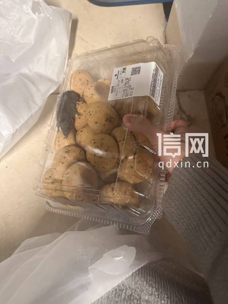 山姆"极速达"麻薯盒内现活老鼠:24只麻薯已被老鼠先吃了俩(图1)