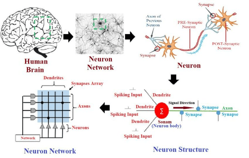DeepMind科学家惊人预测:AGI在2028年实现,大规模失业要来了