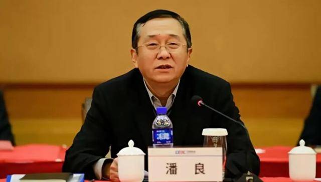 打虎！69岁潘良被查，系国务院国资委原副部级干部