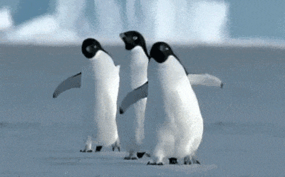 建议你多学企鹅走路