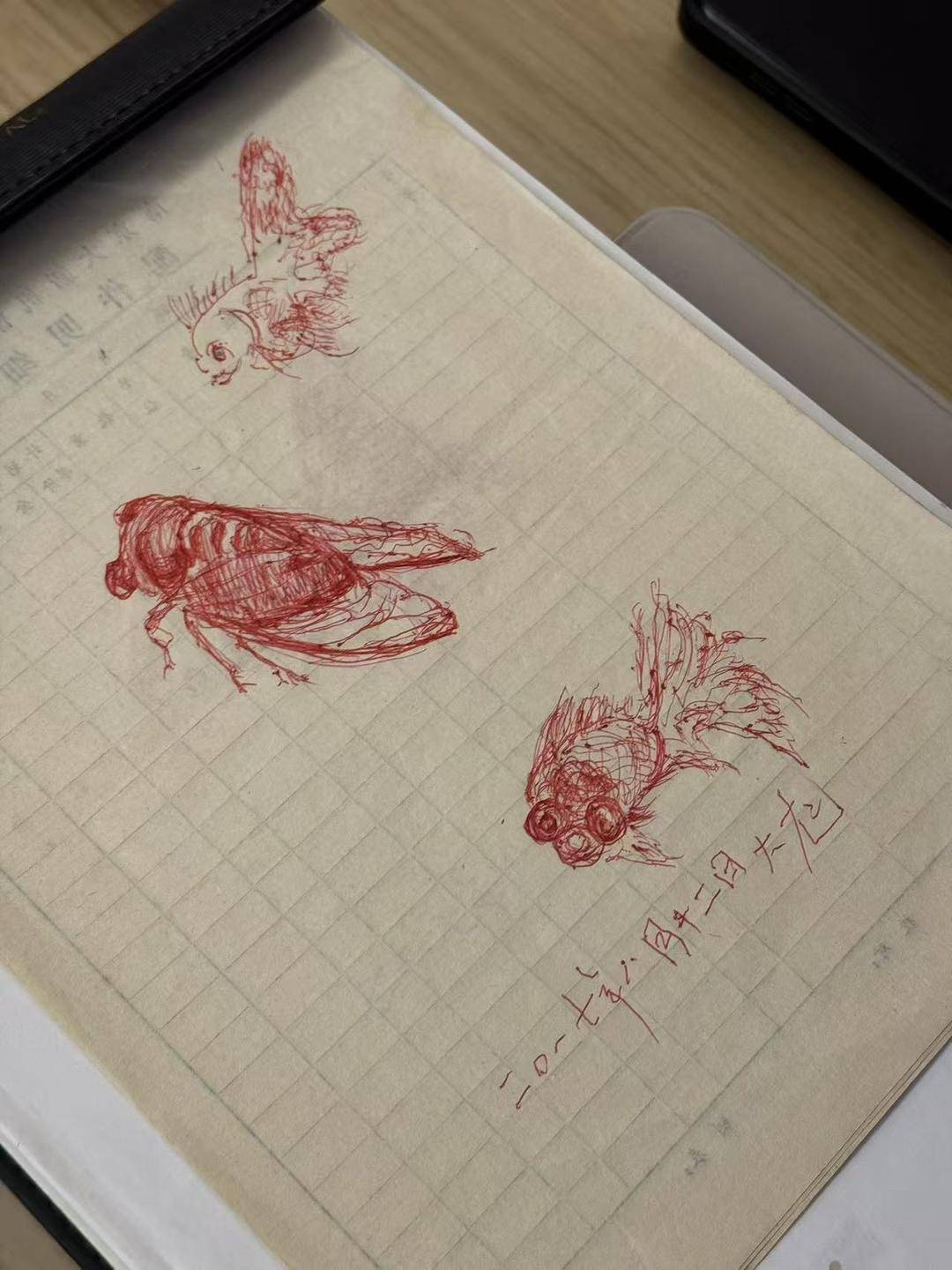 南京大屠杀幸存者之女:54岁开始,我为父亲弥补1937年以后的童年丨在场 南京大屠杀幸存者之女:54岁开始,我为父亲弥补1937年以后的童年丨在场