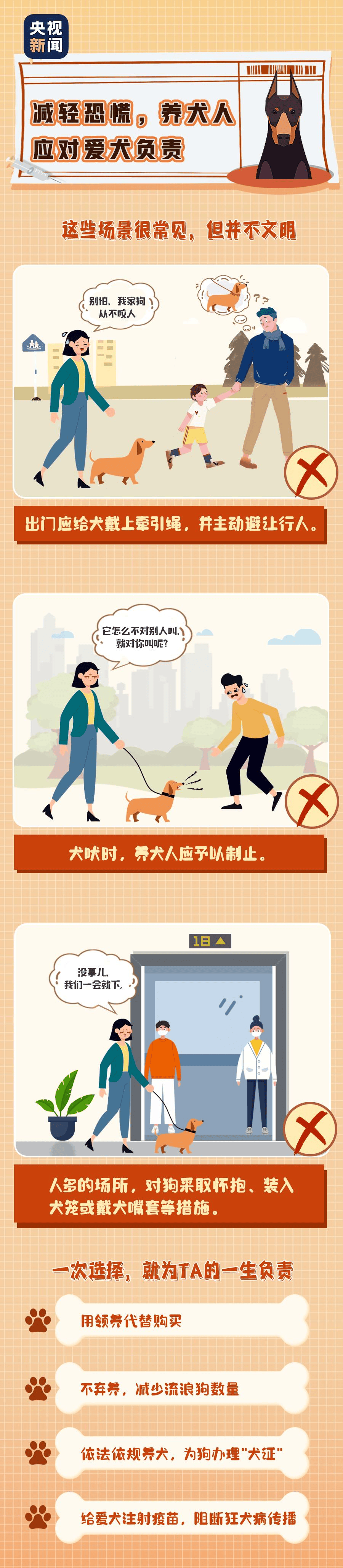 养犬新规!2026年1月1日起实施!_动物_文明_伤害