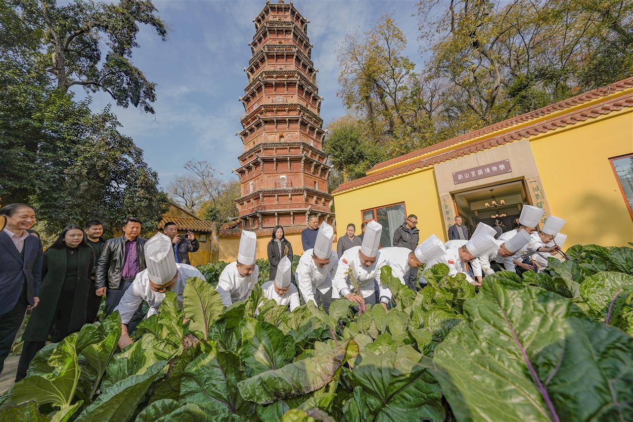 今天起，来这些餐厅可以吃到正宗洪山菜薹