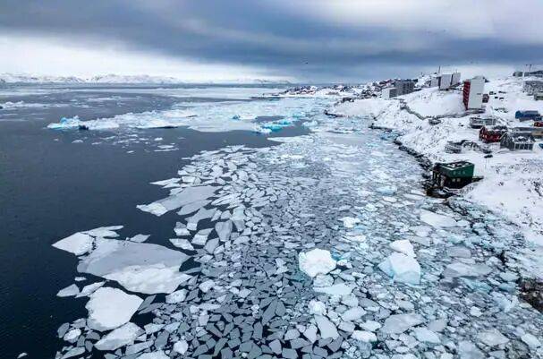 北极地表气温创125年最高值，北极熊发生基因突变：激活“跳跃基因”对抗海冰融化