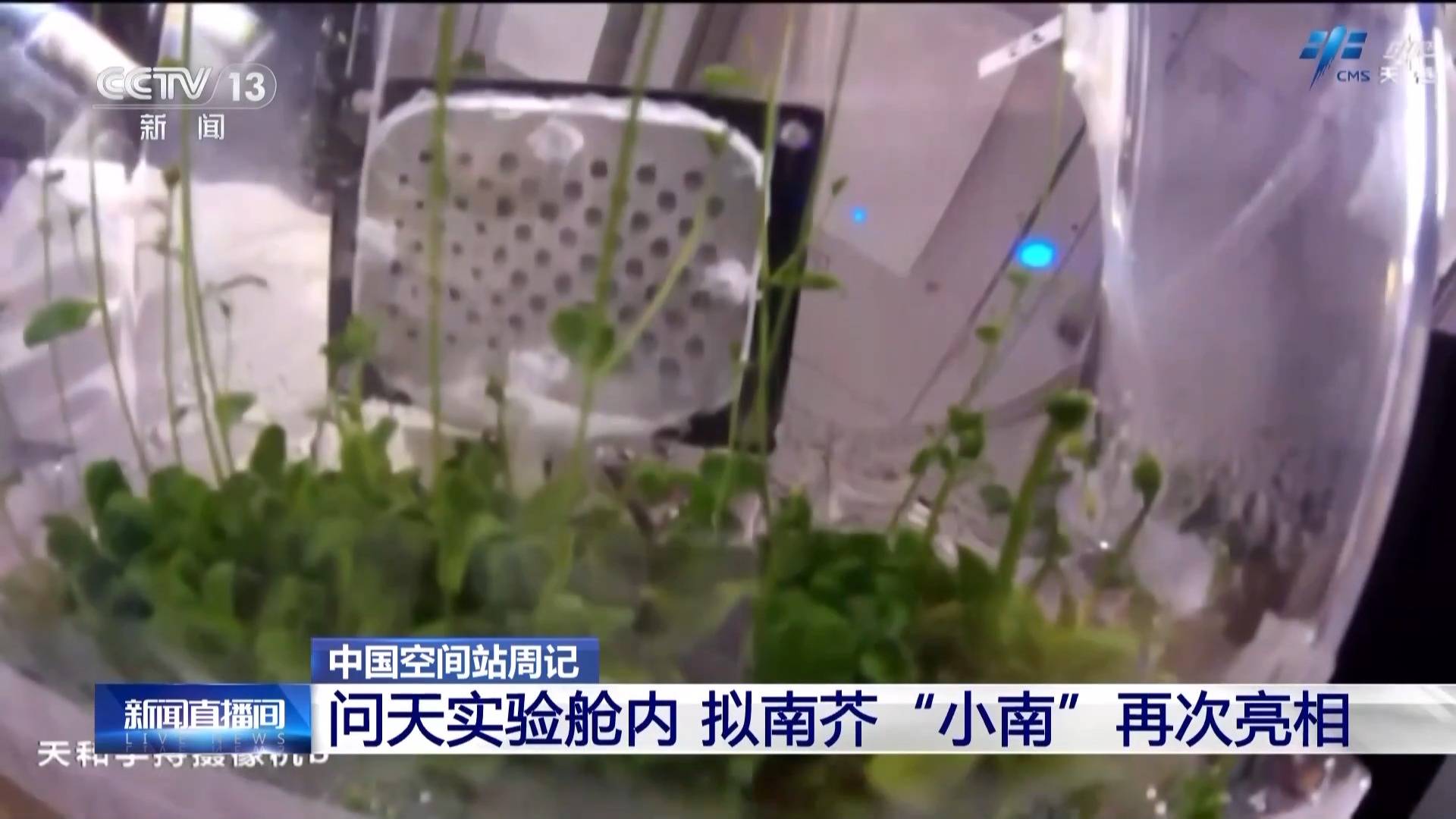 太空“出差”快两个月 神二十一乘组都做了哪些工作？