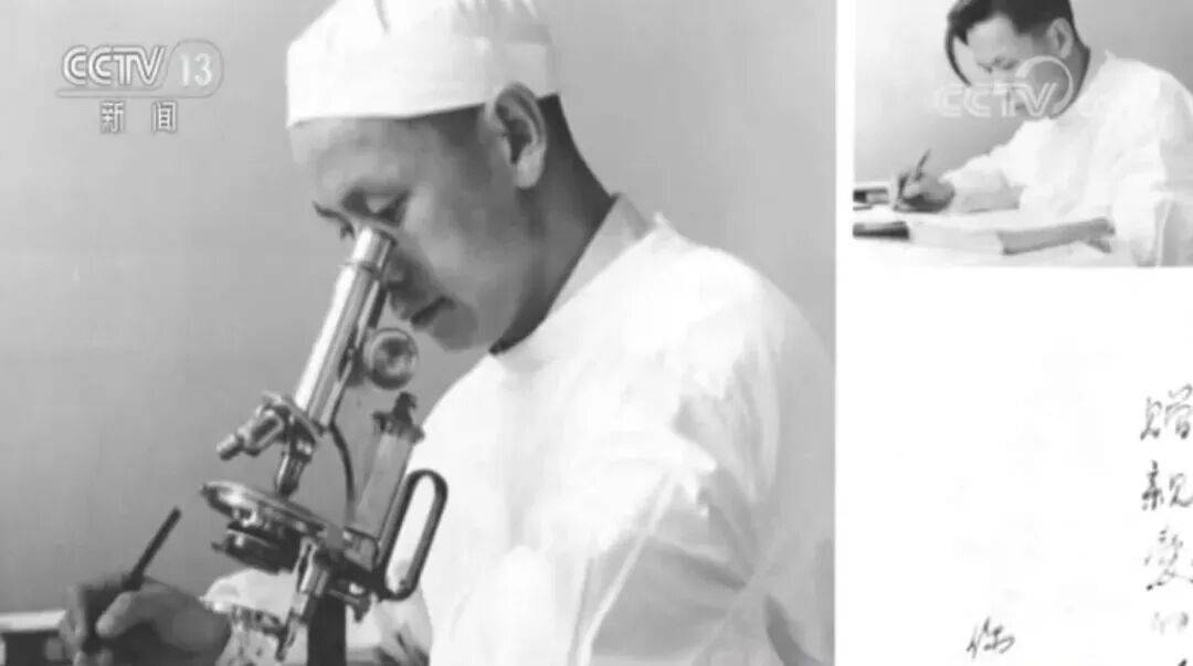 联合国通过决议:纪念“糖丸爷爷”!