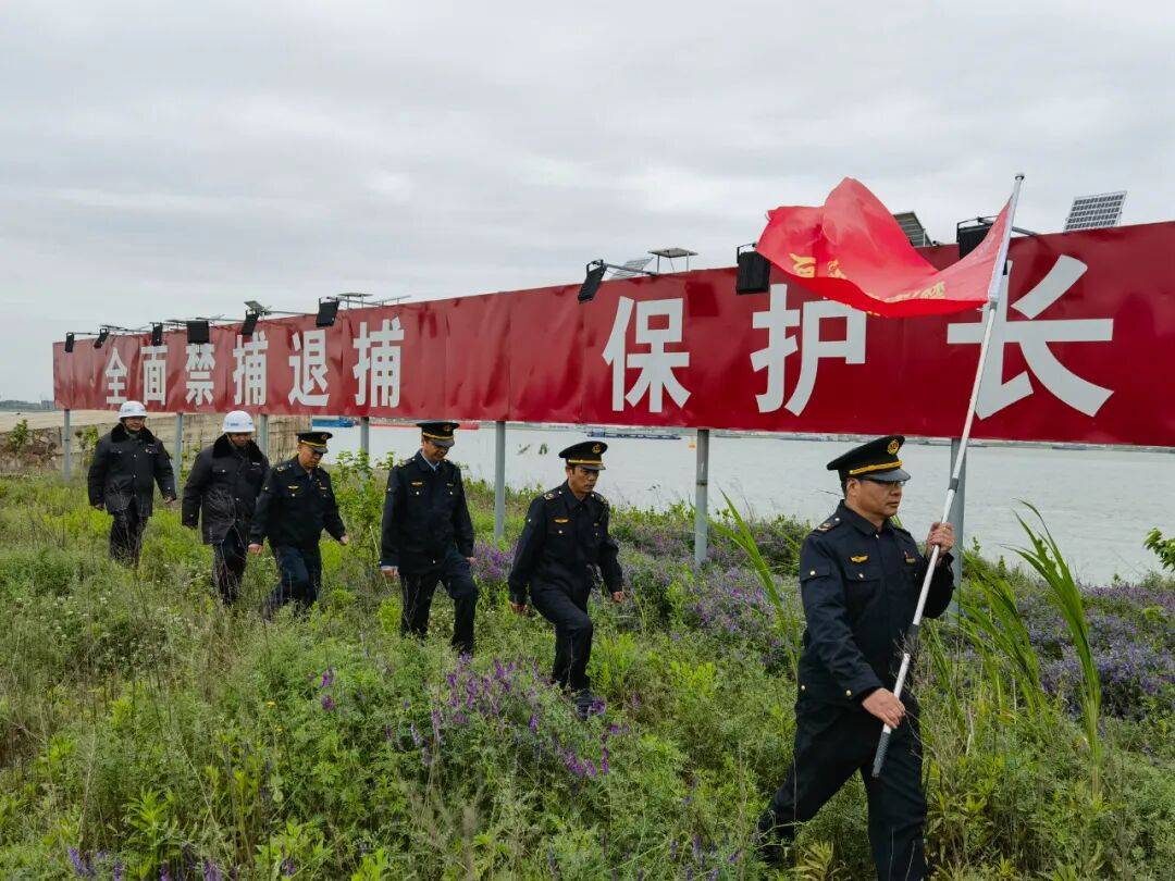奋进的新润州·我们的“十四五” | 区农业农村局：生态为基，茶香为引用品牌之力驱动农业发展